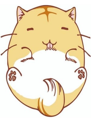 Kanvas Keyifli Kedi Sayılarla Boyama Seti Rulo