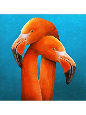 Kanvas Sarilan Flamingo Sayılarla Boyama Seti Rulo