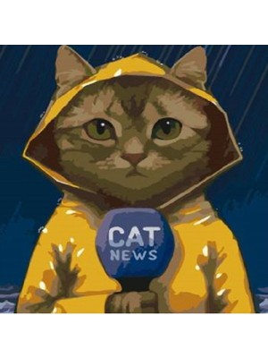 Kanvas Muhabir Kedi Sayılarla Boyama Seti  Rulo