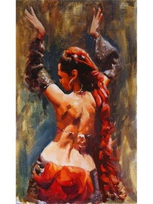 Kanvas Mistik Dans Sayılarla Boyama Seti Rulo