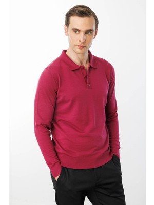 Desen Triko Erkek Basic Polo Yaka Ince Triko Kazak Sıklamen