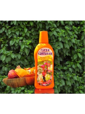 Çiçek Coşturan Mevsimlik Fide Gül Bahçe Bitkileri Için