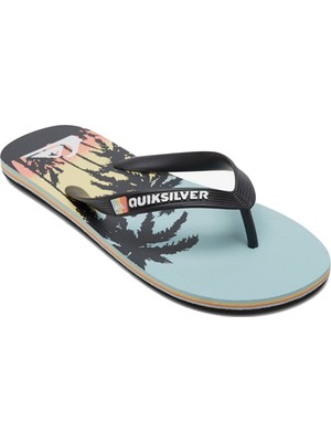 Quiksilver MOLOKAI ART