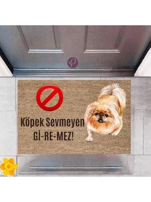 Kapı Önü Paspası Dekoratif Dijital Baskı Köpek Sevmeyen Giremez P-2376