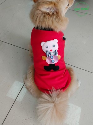 Pembe Ayıcık Aksesuarlı Kırmızı Kedi Köpek Kıyafeti Elbisesi