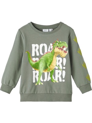 Erkek Çocuk Sweatshirt