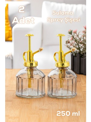 15733 2li Gri Vintage Cam Bitki Sulama Şişesi Oda Kokusu Dağıtıcı Cam Dağıtıcı Sprey Yağlık 250ML