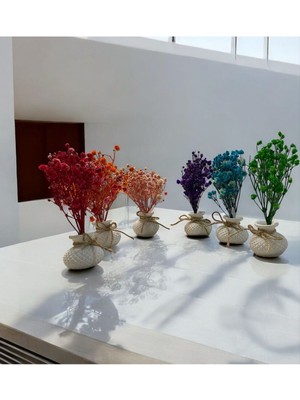 Hediyelik Dekoratif 6lı Set Mini Tombik Saksılı Kuru Çiçek Cipso