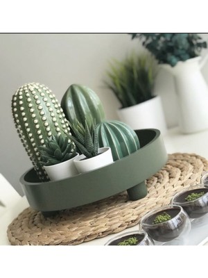 3 Lü Dekoratif Kaktüs