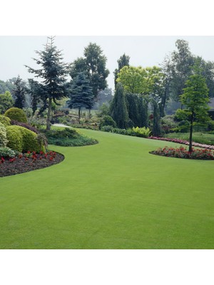 TNC Garden Groups Çim Gübresi 15-5-15  Sportsmaster 1000 Gr