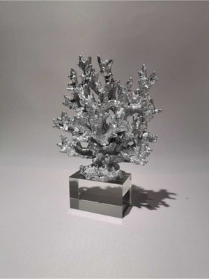 Kristal Kaideli Gümüş Mercan