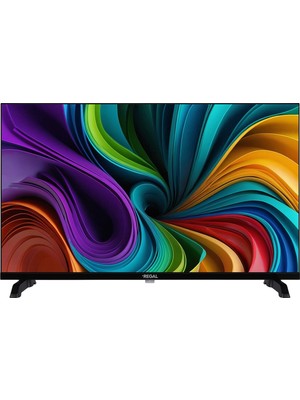Regal 24NS900 24 '' Uydu Alıcılı HD Ready TV