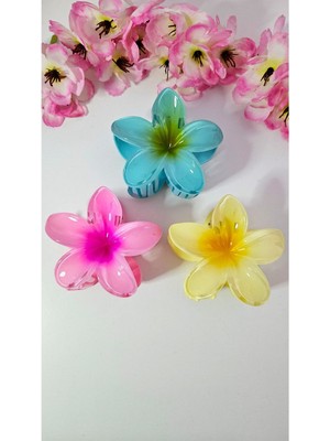 3 Adet Çift Renk Lotus Mandal Toka