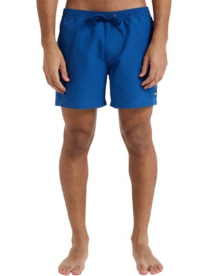 Quiksilver Everyday Deluxe 15 Erkek Volley Short