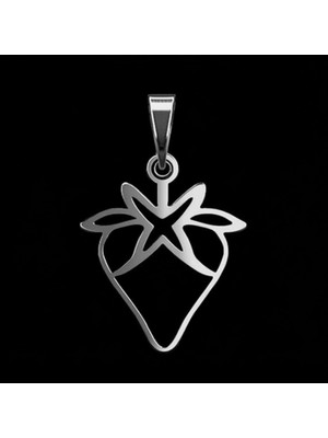 TabiTela 925 Ayar gümüş kolye çilek SM2501