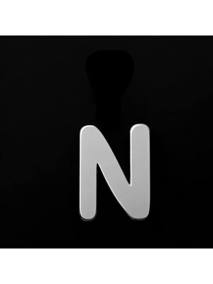 TabiTela 925 Ayar gümüş kolye Harf N   SM2922