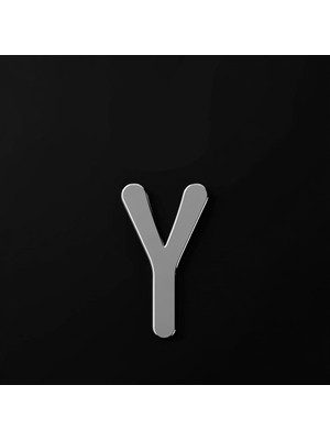 TabiTela 925 Ayar gümüş kolye Harf Y   SM3091