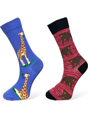 Me-Vo 2'li Unısex Hayvan Tasarımlı Esnek Nem Alabilen Pamuklu Soket Çoraplar