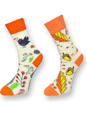 Me-Vo 2'li Unısex Sonbahar Tasarımlı Esnek Nem Alabilen Pamuklu Soket Çoraplar