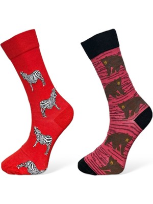 Me-Vo 2'li Unısex Zebra ve Ayı Tasarımlı Esnek Nem Alabilen Pamuklu Soket Çoraplar