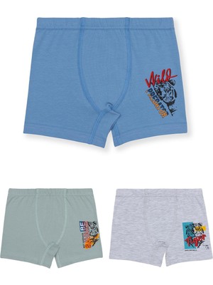 Erkek Çocuk Pamuklu Likralı Renkli Baskılı Boxer 3'lü Paket 3512 Renkli