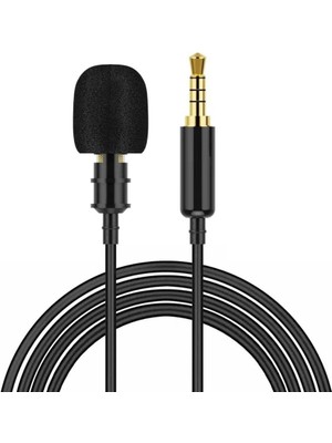 A139 Araç Kamerası Akıllı Telefon ve Kameralarla Uyumlu 3.5mm Mikrofon