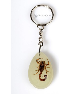 Tesbihkenti Yeşil Renk Akrep Fosilli Anahtarlık Model 3