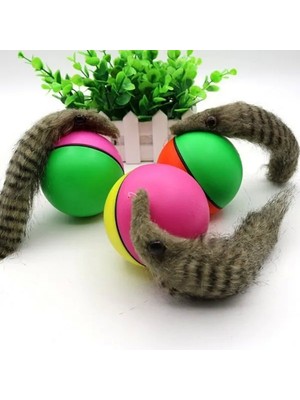 Hareketli Rakun Kedi Köpek Oyuncak