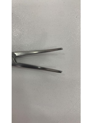 Trent Moskito Pensi Ucu Egri 12,5 cm