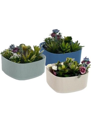 Omnipazar KRS-247 Pera Aranjman Kaktus Sukulent Saksı 1 Litre 3'lü Set