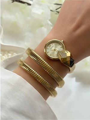 Ferrucci Yılan Sarmal Kordon Trend Model Çelik Kadın Kol Saati