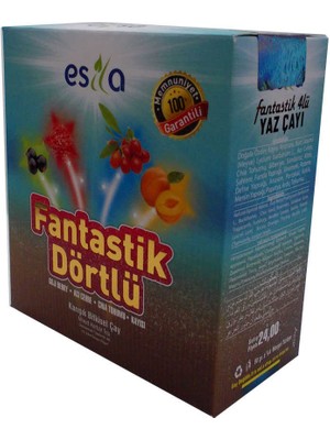 Fantastik Dörtlü Bitkisel Yaz Çayı 45 Süzen Poşet