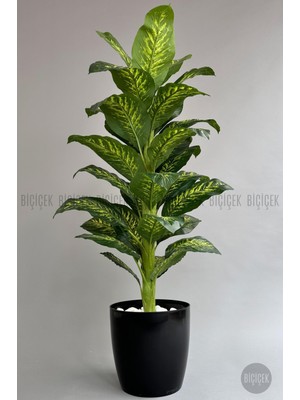 Yapay Ağaç Difenbahya Bambu Gövdeli 180CM Büyük Boy Kırıkbeyaz Renk Yakut Saksıda