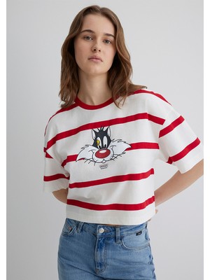 Mavi Sylvester Baskılı Kırmızı Tişört 1613350-85422