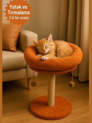 2 Si 1 Arada | Kedi Tırmalama Tahtalı ve Yuvarlak Kedi Yatağı | Yumuşacık Dolgulu Boncul Elyaf, 40 cm Yatak, 55 cm Uzunluk |en Çok Tercih Edilen
