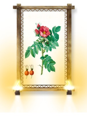 Miyrem Rustik,ledli Kanvas Tablo  Çiçek B