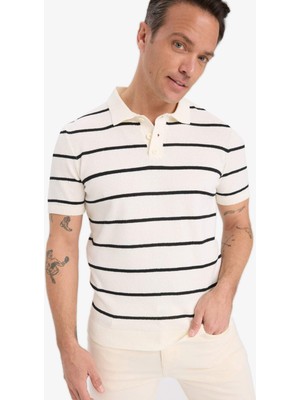 DeFacto Standart Fit Polo Yaka Çizgili Kısa Kollu Triko Tişört E2701AX25SP