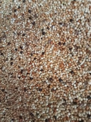 Muhabbet Açık Kuş Yemi 1 kg