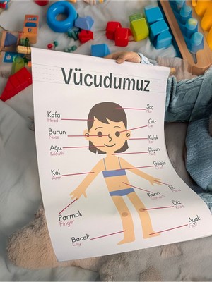 Vücudumu Öğreniyorum -Kız Eğitici, Öğretici Özel Duvar Süsü, Flama Duvar Süsü 44 x 64