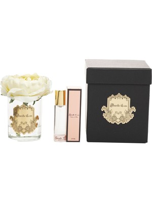 Krem Tek Şakayık Gold