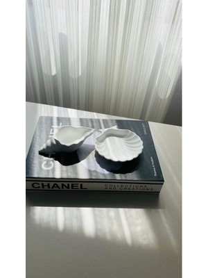 Deniz Kabuğu ve Midye