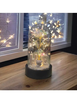 Sevgililer ve Anneler Gününe Özel, Özel Harfli Dekoratif Solmayan Sonsuzluk Gülü Işıklı Fanusta Gül