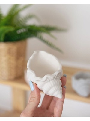 Istiridye Kutu Dekoratif 1 Adet Beyaz Lüks Deniz Kabuğu