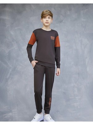 Şirin Giyim Elsima B3164 Erkek Çocuk Pijama Takimi