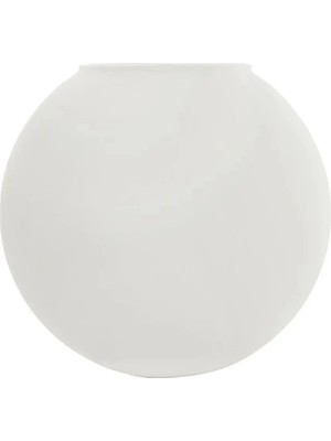 Globee Cam