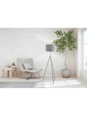 55731  Scigliati Lambader