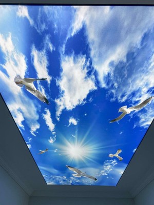 Oturma Gergi Tavan Modelleri