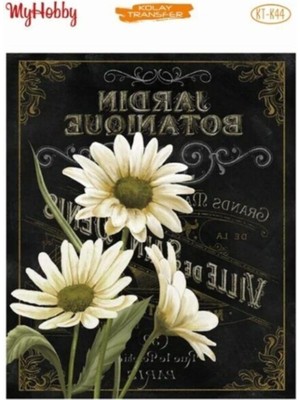 Kolay Transfer K-44 17X25CM