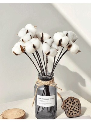 Beyaz Doğal Pamuk Dalları 6 Adet