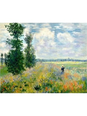 Marsilyan- Kanvas Monet Hashas Bahçesi Sayılarla Boyama Seti Rulo